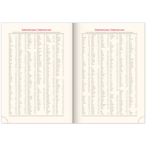 Fotografie k reklamnímu předmětu „NOTIQUE Týdenní diář Panama 2026, zelený, 15 x 21 cm“