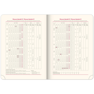 Fotografie k reklamnímu předmětu „NOTIQUE Týdenní diář Twill 2026, bordó-zlatý, 15 x 21 cm“