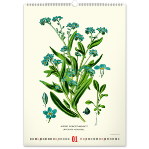 Fotografie k reklamnímu předmětu „NOTIQUE Nástěnný kalendář Vintage plakáty – herbář 2026, 33 x 46 cm“
