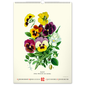 Fotografie k reklamnímu předmětu „NOTIQUE Nástěnný kalendář Vintage plakáty – herbář 2026, 33 x 46 cm“