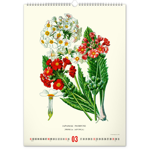 Fotografie k reklamnímu předmětu „NOTIQUE Nástěnný kalendář Vintage plakáty – herbář 2026, 33 x 46 cm“