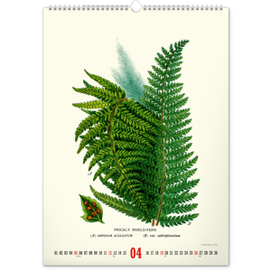 Fotografie k reklamnímu předmětu „NOTIQUE Nástěnný kalendář Vintage plakáty – herbář 2026, 33 x 46 cm“