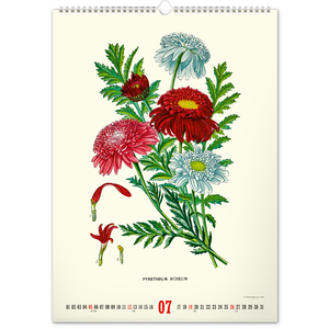 Fotografie k reklamnímu předmětu „NOTIQUE Nástěnný kalendář Vintage plakáty – herbář 2026, 33 x 46 cm“