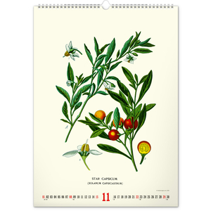 Fotografie k reklamnímu předmětu „NOTIQUE Nástěnný kalendář Vintage plakáty – herbář 2026, 33 x 46 cm“