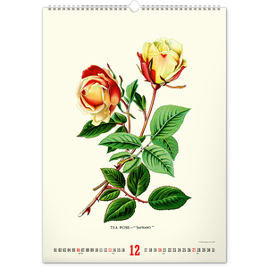 Fotografie k reklamnímu předmětu „NOTIQUE Nástěnný kalendář Vintage plakáty – herbář 2026, 33 x 46 cm“