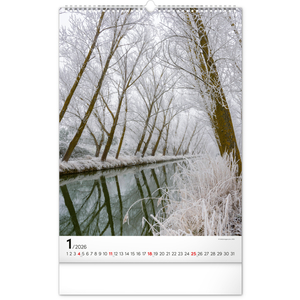 Fotografie k reklamnímu předmětu „NOTIQUE Nástěnný kalendář Stromy 2026, 33 x 46 cm“