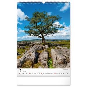 Fotografie k reklamnímu předmětu „NOTIQUE Nástěnný kalendář Stromy 2026, 33 x 46 cm“