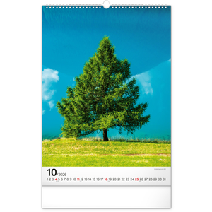 Fotografie k reklamnímu předmětu „NOTIQUE Nástěnný kalendář Stromy 2026, 33 x 46 cm“