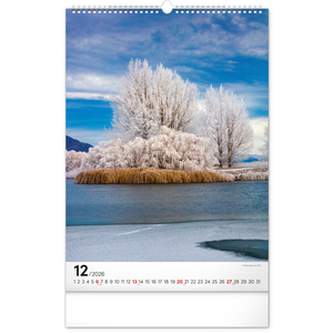 Fotografie k reklamnímu předmětu „NOTIQUE Nástěnný kalendář Stromy 2026, 33 x 46 cm“