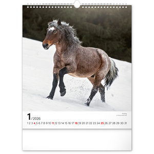 Fotografie k reklamnímu předmětu „NOTIQUE Nástěnný kalendář Koně 2026, 30 x 34 cm“