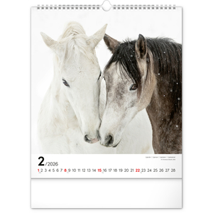 Fotografie k reklamnímu předmětu „NOTIQUE Nástěnný kalendář Koně 2026, 30 x 34 cm“