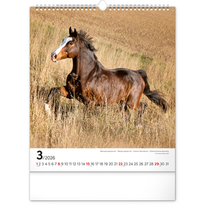 Fotografie k reklamnímu předmětu „NOTIQUE Nástěnný kalendář Koně 2026, 30 x 34 cm“