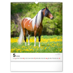 Fotografie k reklamnímu předmětu „NOTIQUE Nástěnný kalendář Koně 2026, 30 x 34 cm“