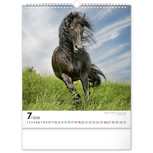 Fotografie k reklamnímu předmětu „NOTIQUE Nástěnný kalendář Koně 2026, 30 x 34 cm“