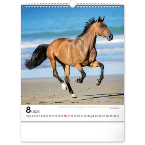 Fotografie k reklamnímu předmětu „NOTIQUE Nástěnný kalendář Koně 2026, 30 x 34 cm“