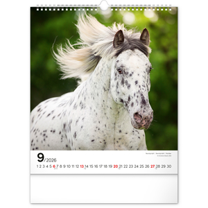 Fotografie k reklamnímu předmětu „NOTIQUE Nástěnný kalendář Koně 2026, 30 x 34 cm“