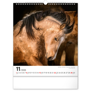 Fotografie k reklamnímu předmětu „NOTIQUE Nástěnný kalendář Koně 2026, 30 x 34 cm“