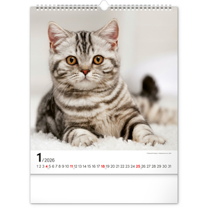 Fotografie k reklamnímu předmětu „NOTIQUE Nástěnný kalendář Kočky 2026, 30 x 34 cm“