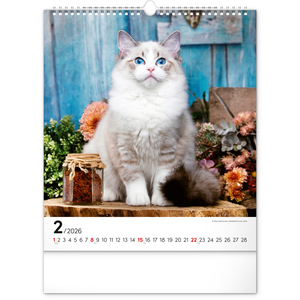 Fotografie k reklamnímu předmětu „NOTIQUE Nástěnný kalendář Kočky 2026, 30 x 34 cm“