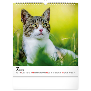 Fotografie k reklamnímu předmětu „NOTIQUE Nástěnný kalendář Kočky 2026, 30 x 34 cm“