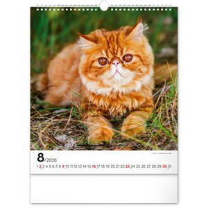 Fotografie k reklamnímu předmětu „NOTIQUE Nástěnný kalendář Kočky 2026, 30 x 34 cm“