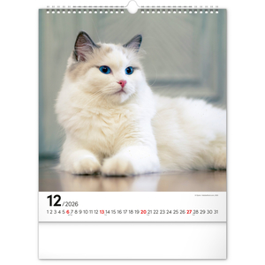 Fotografie k reklamnímu předmětu „NOTIQUE Nástěnný kalendář Kočky 2026, 30 x 34 cm“
