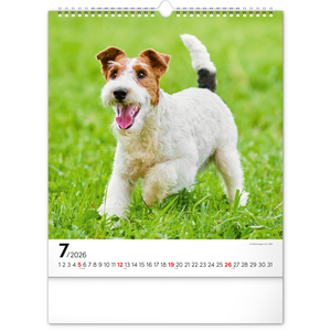 Fotografie k reklamnímu předmětu „NOTIQUE Nástěnný kalendář Psi 2026, 30 x 34 cm“