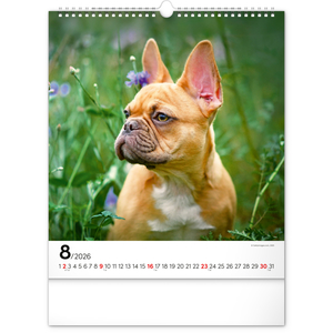 Fotografie k reklamnímu předmětu „NOTIQUE Nástěnný kalendář Psi 2026, 30 x 34 cm“
