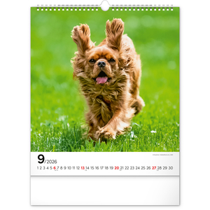 Fotografie k reklamnímu předmětu „NOTIQUE Nástěnný kalendář Psi 2026, 30 x 34 cm“