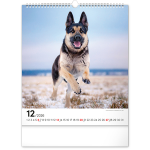Fotografie k reklamnímu předmětu „NOTIQUE Nástěnný kalendář Psi 2026, 30 x 34 cm“