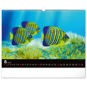 Fotografie k reklamnímu předmětu „NOTIQUE Nástěnný kalendář Podmořský svět 2026, 48 x 33 cm“