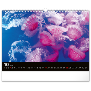 Fotografie k reklamnímu předmětu „NOTIQUE Nástěnný kalendář Podmořský svět 2026, 48 x 33 cm“
