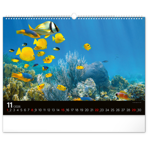 Fotografie k reklamnímu předmětu „NOTIQUE Nástěnný kalendář Podmořský svět 2026, 48 x 33 cm“