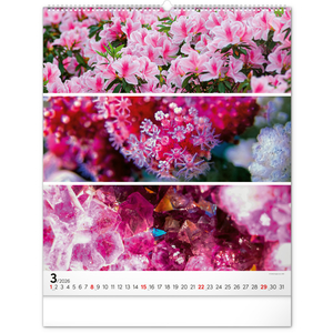 Fotografie k reklamnímu předmětu „NOTIQUE Nástěnný kalendář Paleta 2026, 48 x 56 cm“