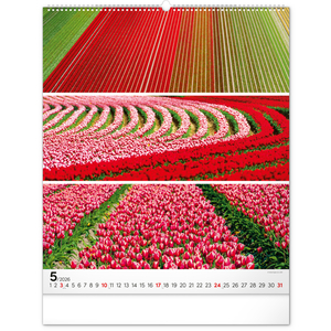 Fotografie k reklamnímu předmětu „NOTIQUE Nástěnný kalendář Paleta 2026, 48 x 56 cm“