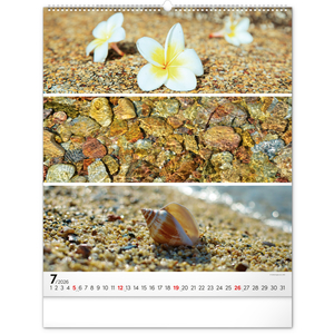 Fotografie k reklamnímu předmětu „NOTIQUE Nástěnný kalendář Paleta 2026, 48 x 56 cm“