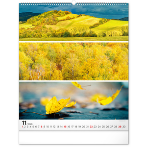 Fotografie k reklamnímu předmětu „NOTIQUE Nástěnný kalendář Paleta 2026, 48 x 56 cm“