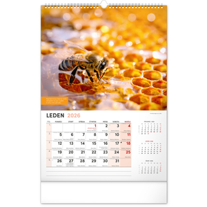 Fotografie k reklamnímu předmětu „NOTIQUE Nástěnný Včelařský kalendář 2026, 33 x 46 cm“