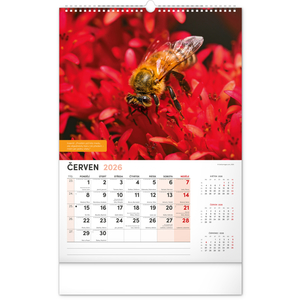 Fotografie k reklamnímu předmětu „NOTIQUE Nástěnný Včelařský kalendář 2026, 33 x 46 cm“