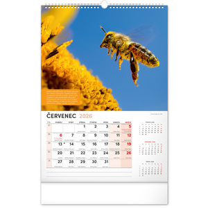 Fotografie k reklamnímu předmětu „NOTIQUE Nástěnný Včelařský kalendář 2026, 33 x 46 cm“
