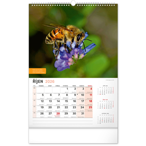 Fotografie k reklamnímu předmětu „NOTIQUE Nástěnný Včelařský kalendář 2026, 33 x 46 cm“