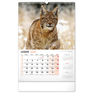 Fotografie k reklamnímu předmětu „NOTIQUE Nástěnný kalendář Myslivecký 2026, 33 x 46 cm“