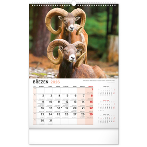 Fotografie k reklamnímu předmětu „NOTIQUE Nástěnný kalendář Myslivecký 2026, 33 x 46 cm“