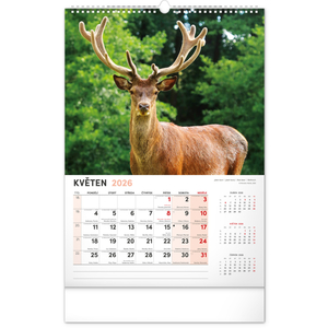 Fotografie k reklamnímu předmětu „NOTIQUE Nástěnný kalendář Myslivecký 2026, 33 x 46 cm“