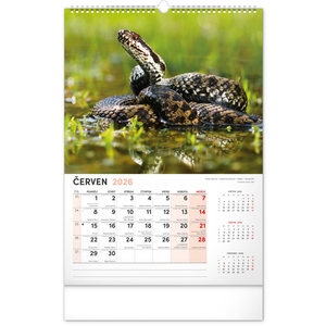 Fotografie k reklamnímu předmětu „NOTIQUE Nástěnný kalendář Myslivecký 2026, 33 x 46 cm“