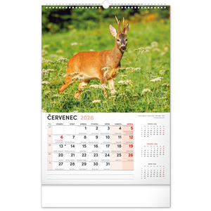 Fotografie k reklamnímu předmětu „NOTIQUE Nástěnný kalendář Myslivecký 2026, 33 x 46 cm“