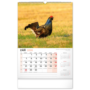 Fotografie k reklamnímu předmětu „NOTIQUE Nástěnný kalendář Myslivecký 2026, 33 x 46 cm“