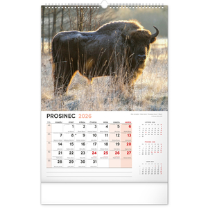 Fotografie k reklamnímu předmětu „NOTIQUE Nástěnný kalendář Myslivecký 2026, 33 x 46 cm“