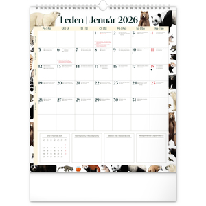 Fotografie k reklamnímu předmětu „NOTIQUE Nástěnný plánovací kalendář Animalium 2026, 30 x 34 cm“