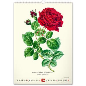 Fotografie k reklamnímu předmětu „NOTIQUE Nástěnný kalendář Vintage plakáty – herbář 2027, 33 x 46 cm“